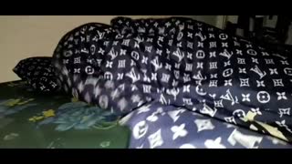 Bokep Hot Ngantuk Banget Malah Diewe Dasar - Pekobs live