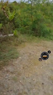 BOKEP INDO SISKAEEE OJOL PRANK BECAK MOTOR