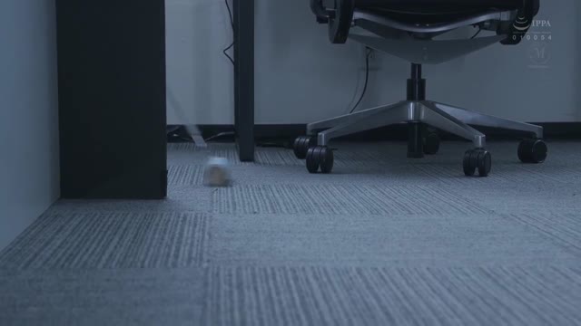 [ Jav Sub Indo ] Sekretaris Menikah, Berkeringat dan Berciuman di Kantor Presiden Creampie Sex Kecantikan Dewasa, Tubuh Dewasa... Semua Itu Tersedia Secara Eksklusif untuk "Sekretaris" Ayaka Muto JUQ-808