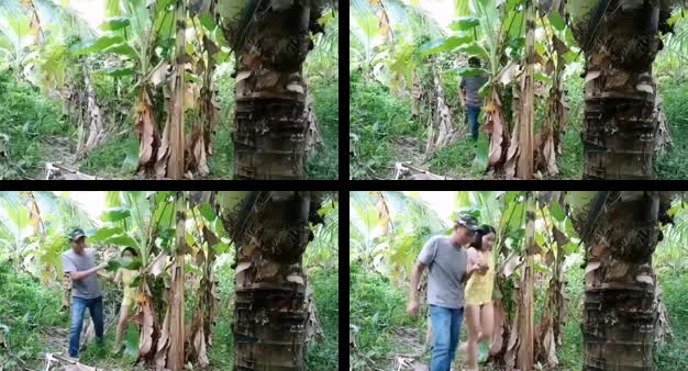 Selingkuh Dikebun