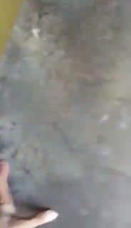 hayoo kena grebek .mp4