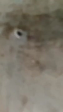 VID 20240114 112034 841