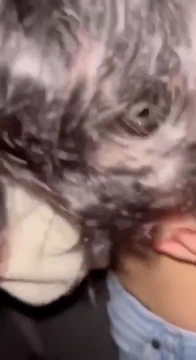 Doggy ayang di tangga gedung kosong.mp4