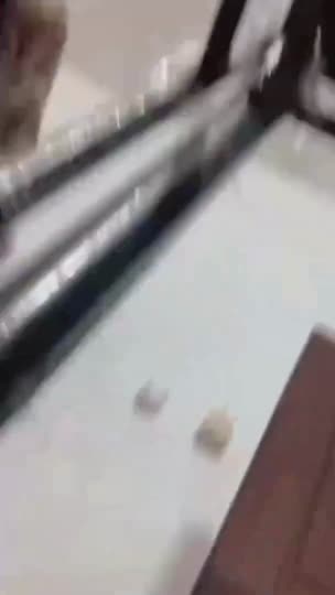 OCHI BERLIAN NGAPAIN DI BELAKANG PINTU - DoodStream - DoodStream.mp4
